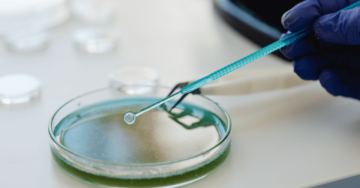 A scientist holds a sample over a dish